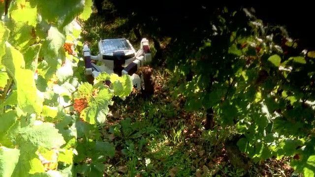 Wall Ye, un robot viticultor
