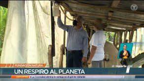 Fundación Natura: un respiro al planeta 2/2