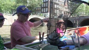 Los paseos por canales de Ámsterdam se reinventan con la pesca del plástico