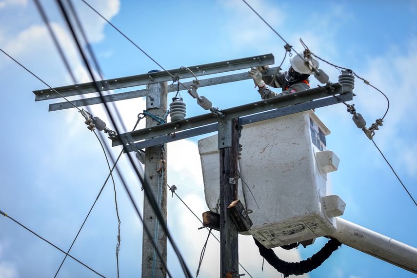 Naturgy informa sobre interrupciones en el suministro eléctrico por caída de árboles