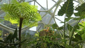 Amazon inaugura bioesferas para que sus empleados trabajen mejor