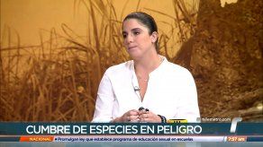 Brindan detalles sobre conferencia mundial sobre especies silvestres
