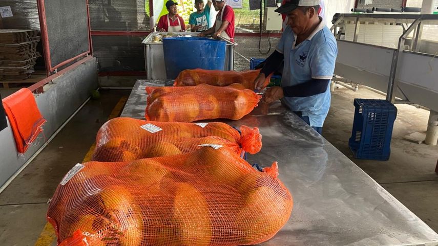 Panamá inicia exportación de agua de pipa&nbsp;