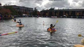 Inusual regata de calabazas gigantes marca inicio del otoño en Oregón