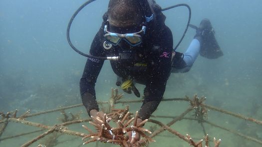 El continente cuenta actualmente con 9.118 zonas protegidas. Más de 100 países en todo el mundo tienen el objetivo de expandir los intentos de conservación y proteger la vida silvestre de los daños causados por el hombre.