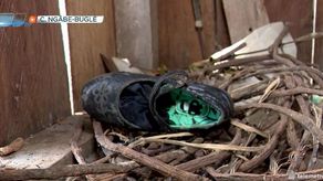 Secta religiosa: Imágenes de la casa donde hacían los rituales