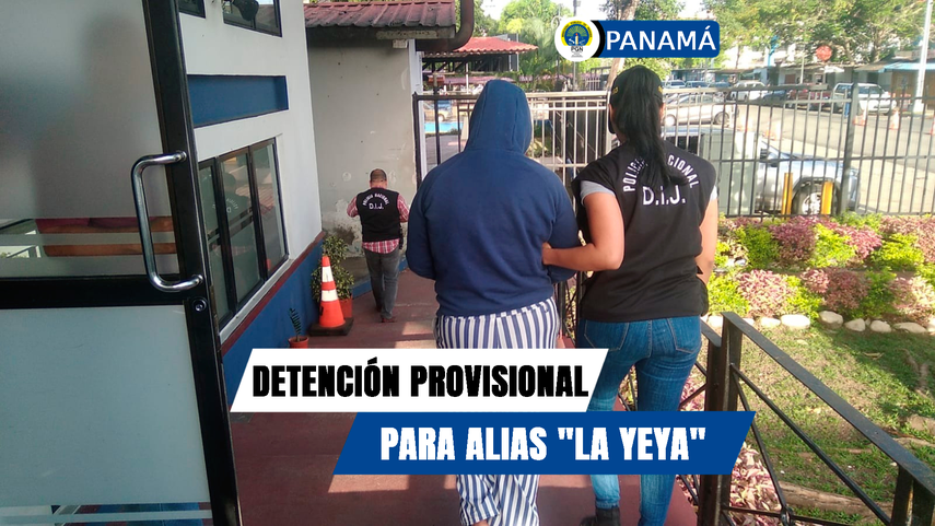 Detención provicional