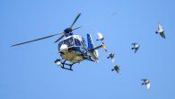 Encuentran en Florida aeronave desaparecida Encuentran en Florida aeronave desaparecida