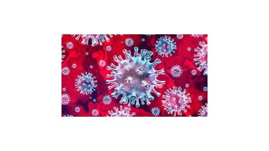 Testan in vitro que un fármaco frena un coronavirus similar al Covid-19