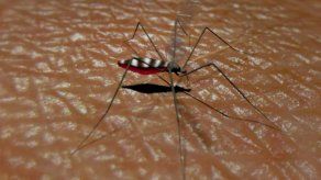 México aprueba la primera vacuna contra el dengue del mundo