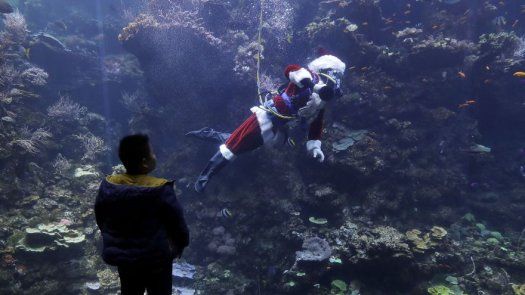 Santa Claus buzo divierte a los niños en San Francisco