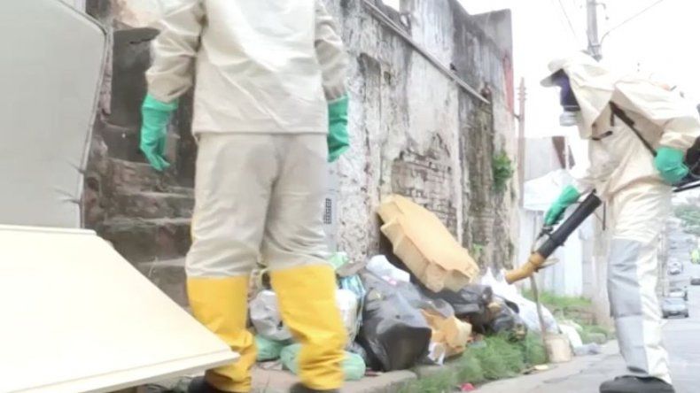 Latinoamérica lucha por erradicar el mosquito del zika