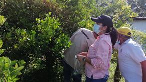 Los técnicos agropecuarios del MIDArealizan recorridos por la región azuerense para detectar focos. Los técnicos agropecuarios del MIDArealizan recorridos por la región azuerense para detectar focos.