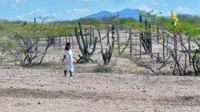 Niños wayúu del norte de Colombia recuperan su identidad tras años de exilio