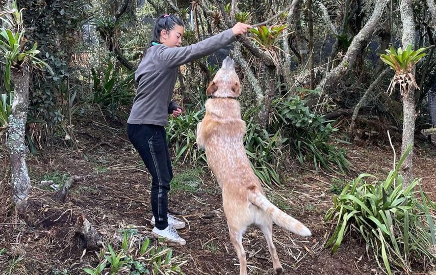 La ayuda de una mascota en confinamiento por el Covid-19