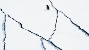 Derretimiento de hielo antártico podría elevar tres metros el nivel del mar