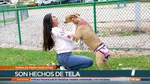 TR Verde: Pañales reciclables para mascotas