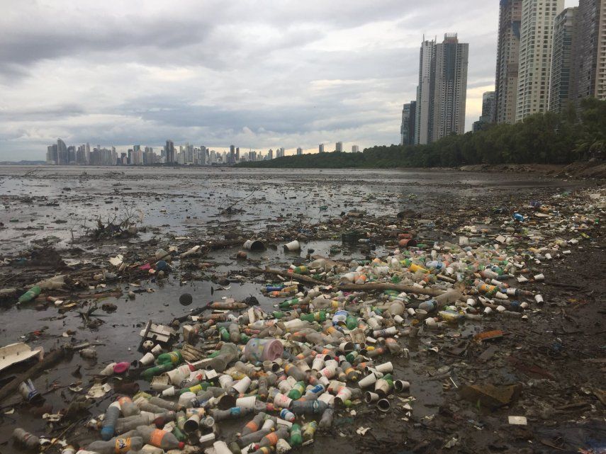 Generalmente gran cantidad de plástico y otros desechos son recogidos durante jornadas de limpieza en playa en Costa del Este.