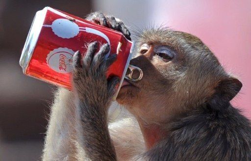 Coca-Cola traslada su fórmula por primera vez desde 1925