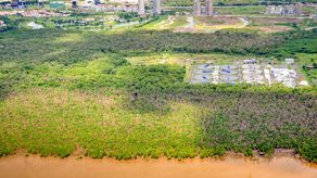 Manglar de Juan Díaz, Ciudad de Panamá.