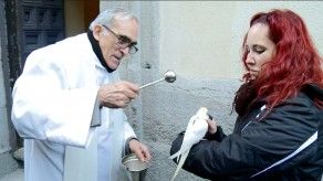 Los animales van a la iglesia