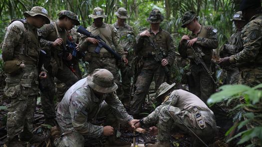Infantes de la Marina de Estados Unidos en Panamá. Infantes de la Marina de Estados Unidos en Panamá.