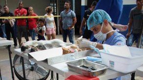 Realizarán jornada de esterilización en la cancha de Los Libertadores este sábado