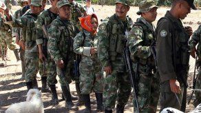 Colombia confirma que 25 narcos buscaban hacerse pasar como miembros de FARC