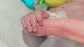 También están avanzando en el sistema informático perinatal, que es una hoja web, conocido por muchos doctores y enfermeras como la hoja pollito.