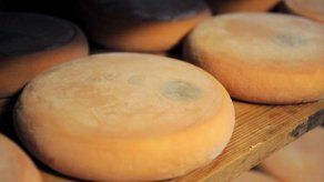 Francia retira del mercado otra marca de queso reblochon contaminado