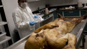 Forenses mexicanos emplean nueva técnica con cadáveres de Ciudad Juárez