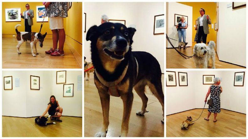 Museo berlinés abre sus puertas a visitantes con perros