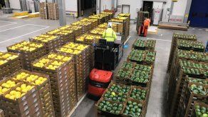 Panamá busca potenciar sus exportaciones hacia Europa