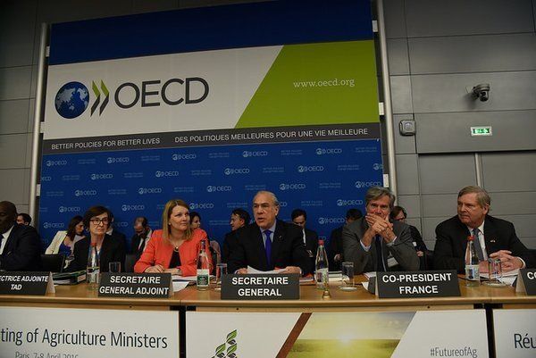 Expertos de la OCDE sacan conclusiones del caso Mossack Fonseca