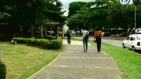 Evalúan medidas para prevenir asaltos en UP