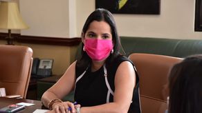 &nbsp;La ministra de Desarrollo Social, María Inés Castillo, en representación del Gobierno Nacional asumió la Presidencia Pro Tempore&nbsp; del CIS.