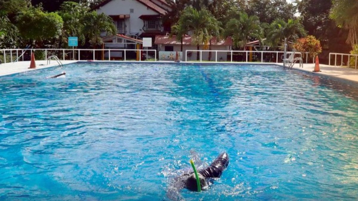 Parque Omar habilita solicitud de tarjeta para acceder a su piscina
