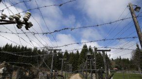 Ciervos siguen afectados por la Cortina de Hierro