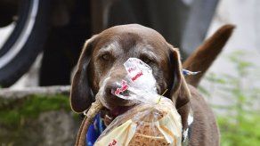 AP- LUIS BENAVIDES y MANUEL RUEDA