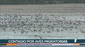 MIDA mantiene la alerta sanitaria tras detección de segundo caso de gripe aviar en Vacamonte MIDA mantiene la alerta sanitaria tras detección de segundo caso de gripe aviar en Vacamonte