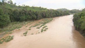 Más de 59 casas afectadas por inundaciones en Chepo y la Comarca Madugandí