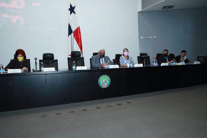 La Comisión de Gobierno de la Asamblea Nacional.