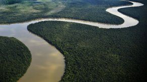 Autoridades ambientales de Colombia protegen 19