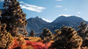 @ATP_panama @ATP_panama