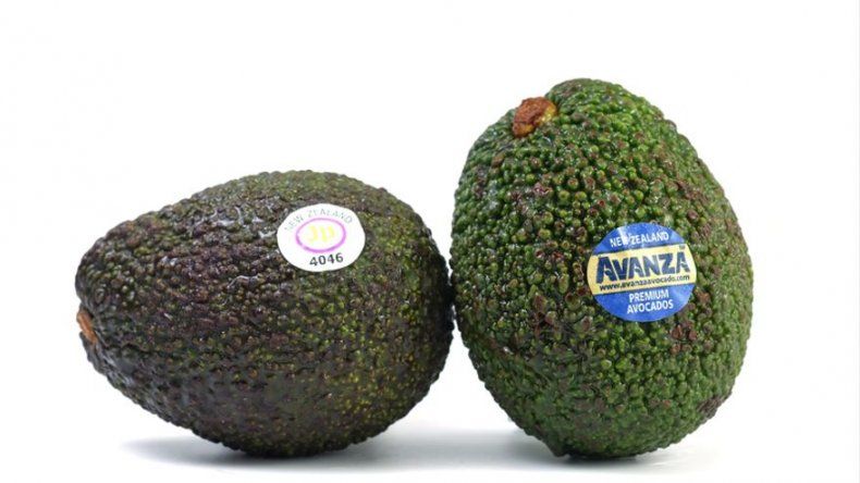 Curiosidades del aguacate que tal vez no sabías