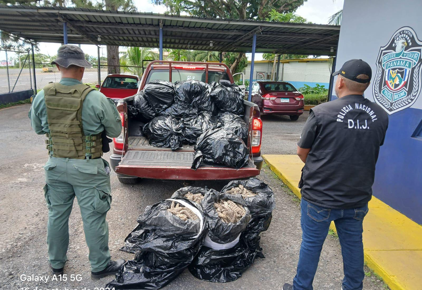 Policía desarticula grupo delictivo