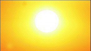 Estudio prevé aumento de 2 grados centígrados en Amazonia