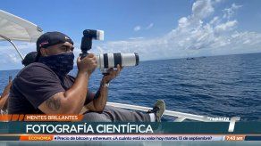 Mentes Brillantes: Eduardo Estrada