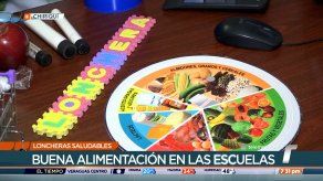 Comidas saludables ayudan al buen rendimiento de los estudiantes
