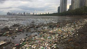 Generalmente gran cantidad de plástico y otros desechos son recogidos durante jornadas de limpieza en playa en Costa del Este.